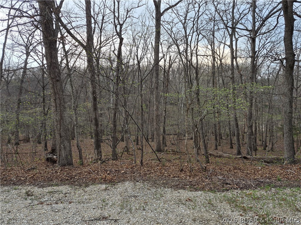 Cornett Cove No. 2 - Land