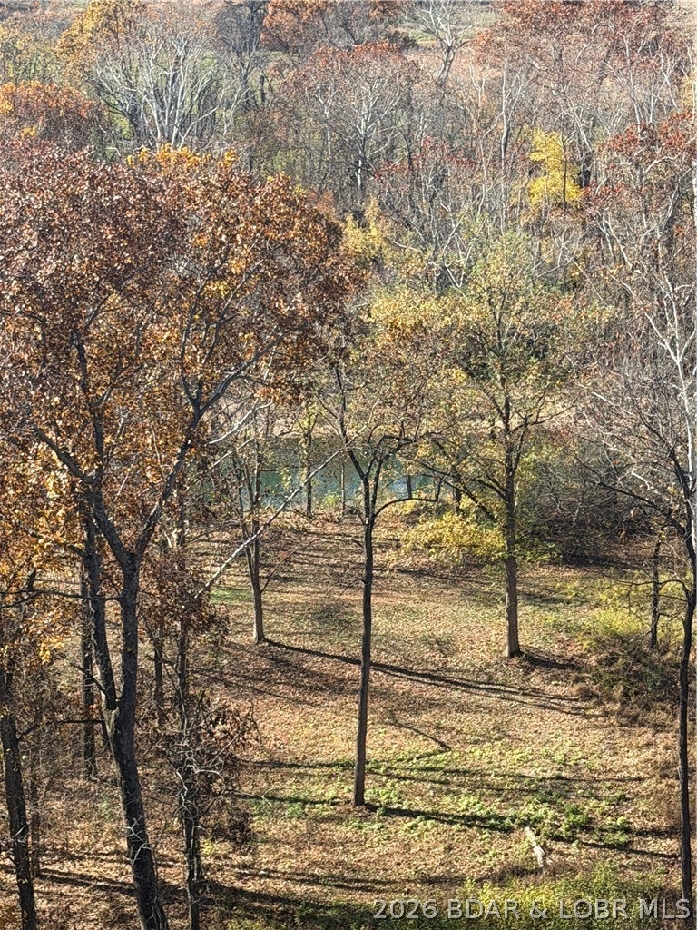 Fiery Fork Ridge - Residential