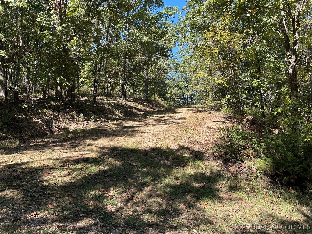 Forbes Lake of the Ozarks - Land