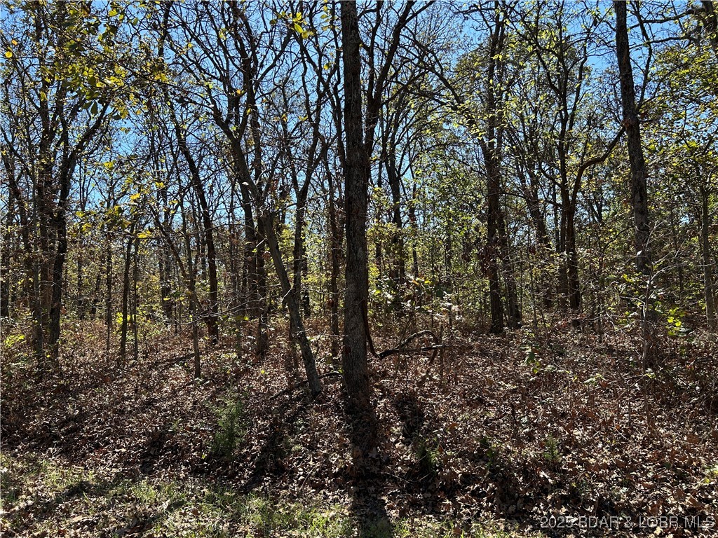 Forbes Lake of the Ozarks - Land