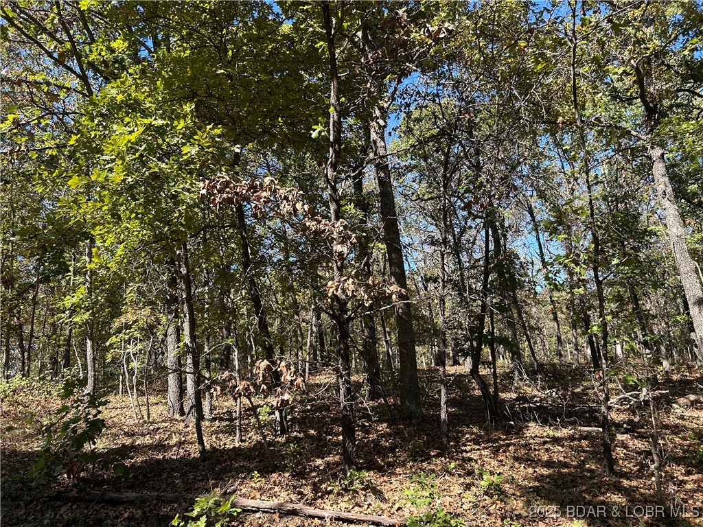 Forbes Lake of the Ozarks - Land
