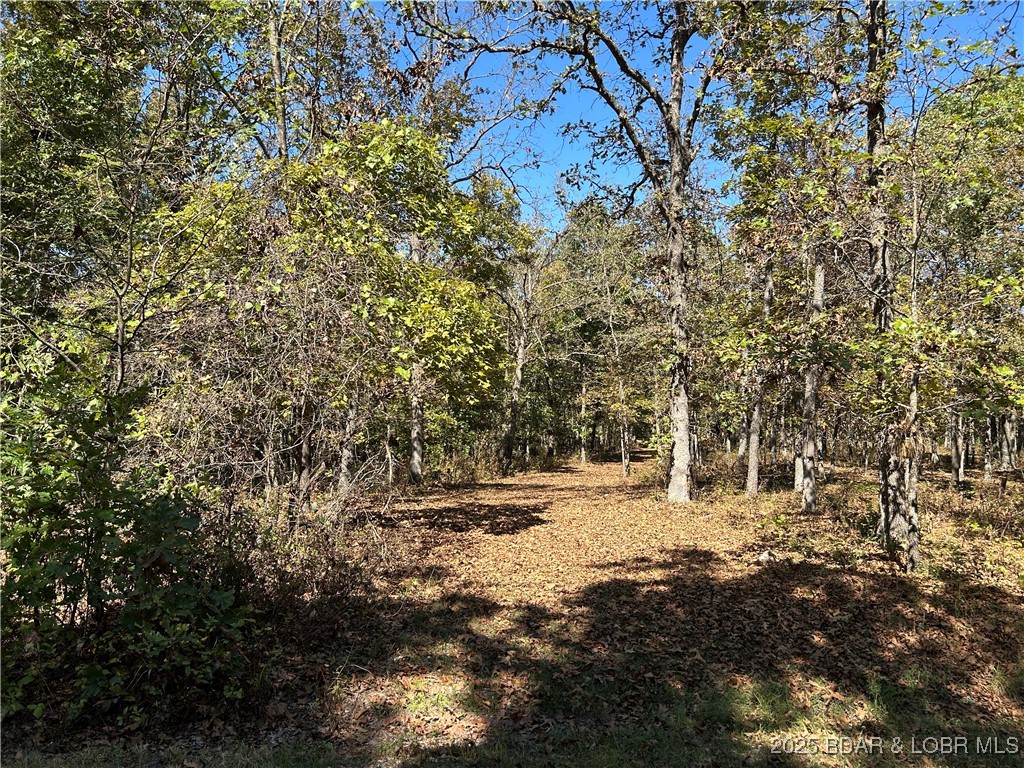 Forbes Lake of the Ozarks - Land
