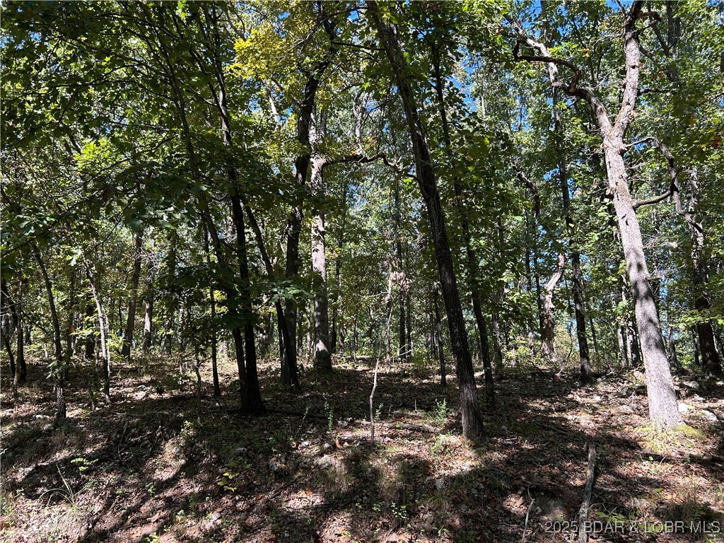 Forbes Lake of the Ozarks - Land