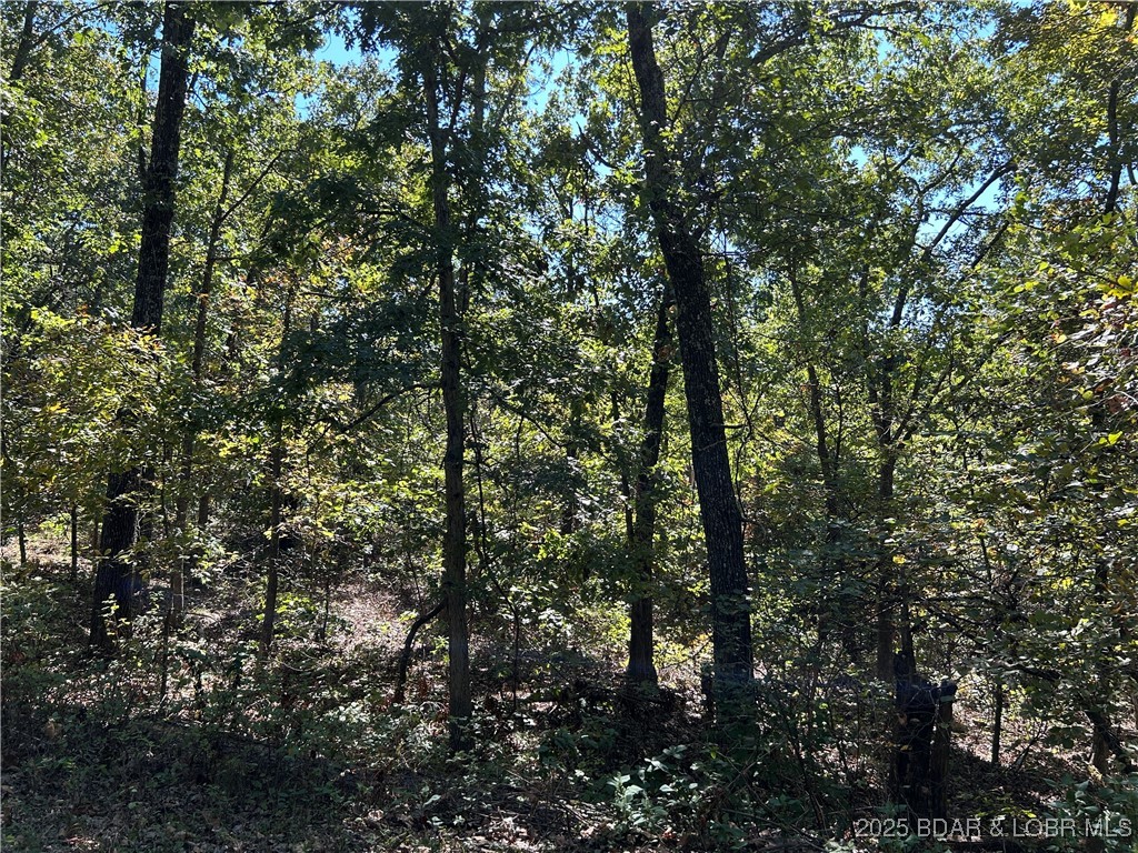 Forbes Lake of the Ozarks - Land