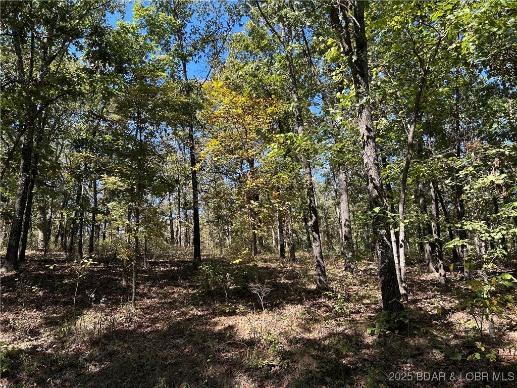 Forbes Lake of the Ozarks - Land