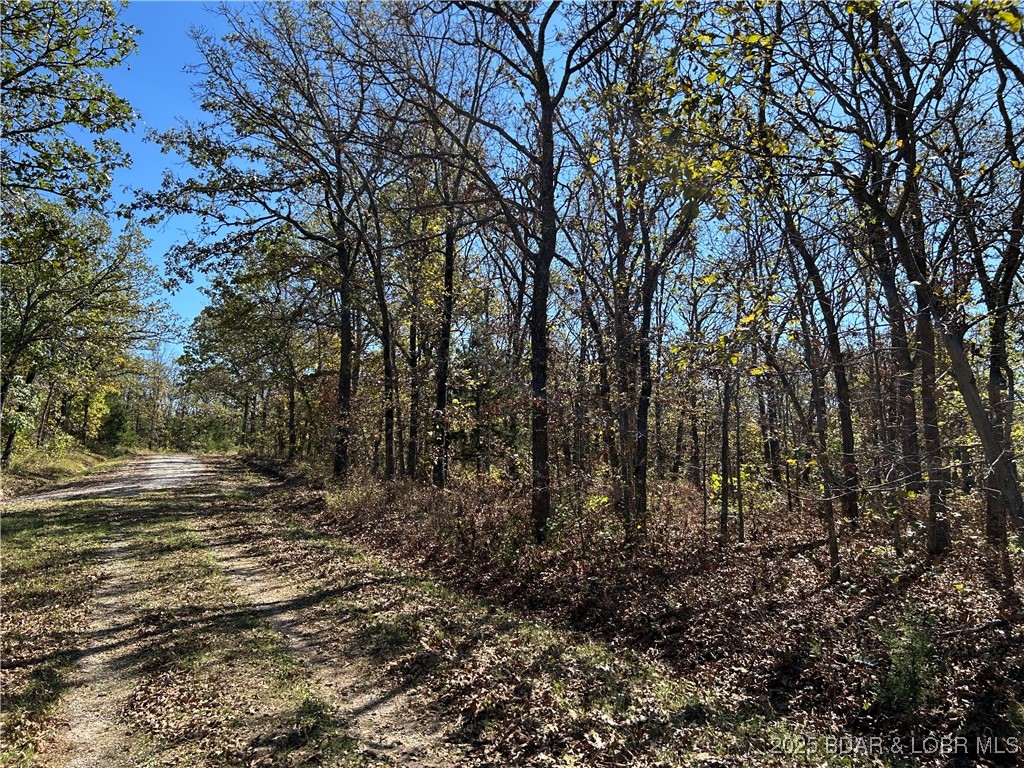 Forbes Lake of the Ozarks - Land