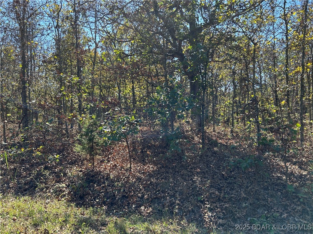 Forbes Lake of the Ozarks - Land