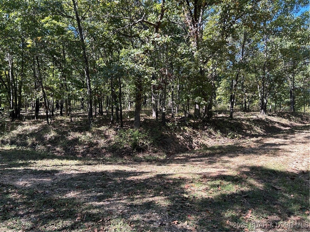 Forbes Lake of the Ozarks - Land