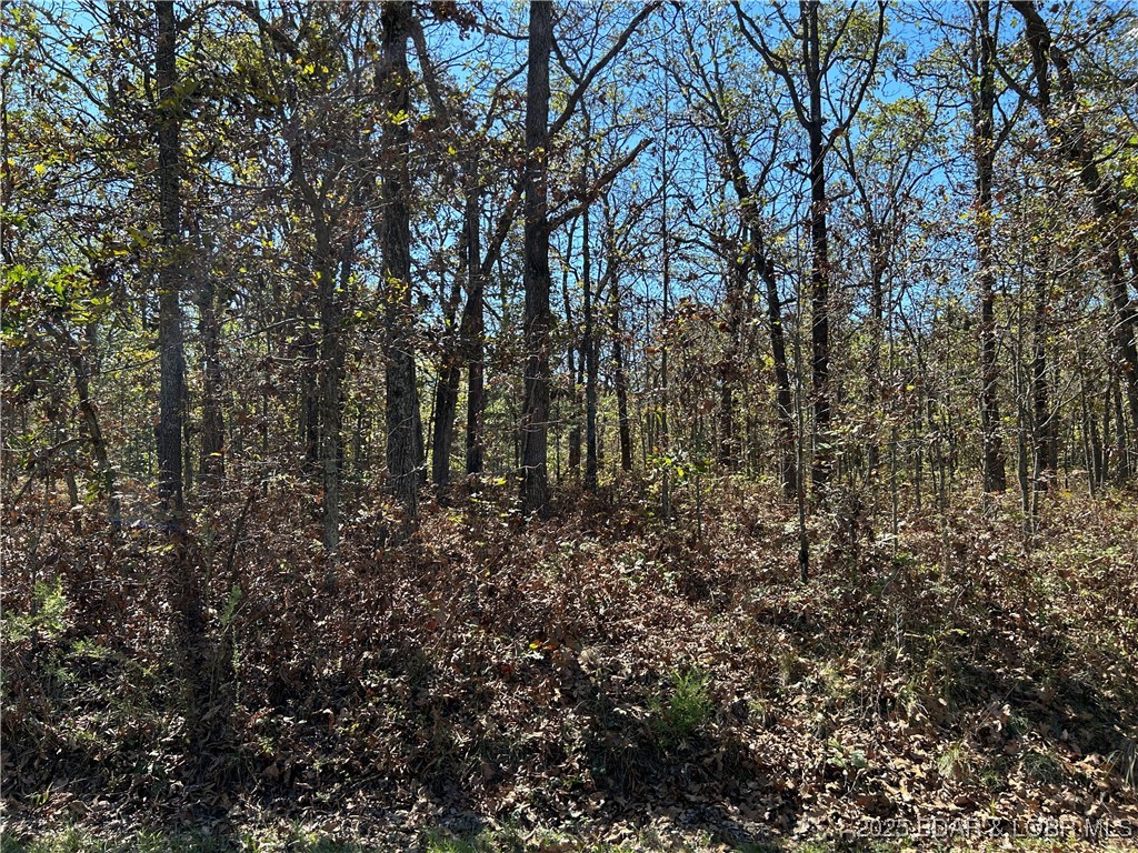 Forbes Lake of the Ozarks - Land