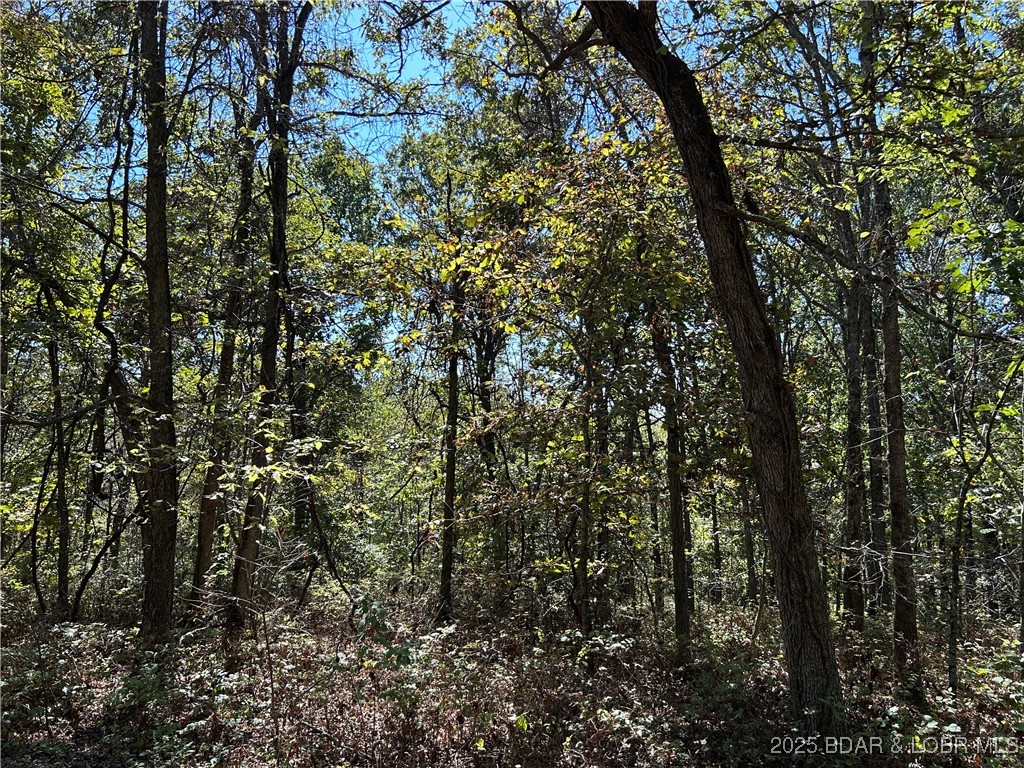 Forbes Lake of the Ozarks - Land