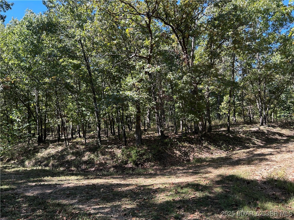 Forbes Lake of the Ozarks - Land