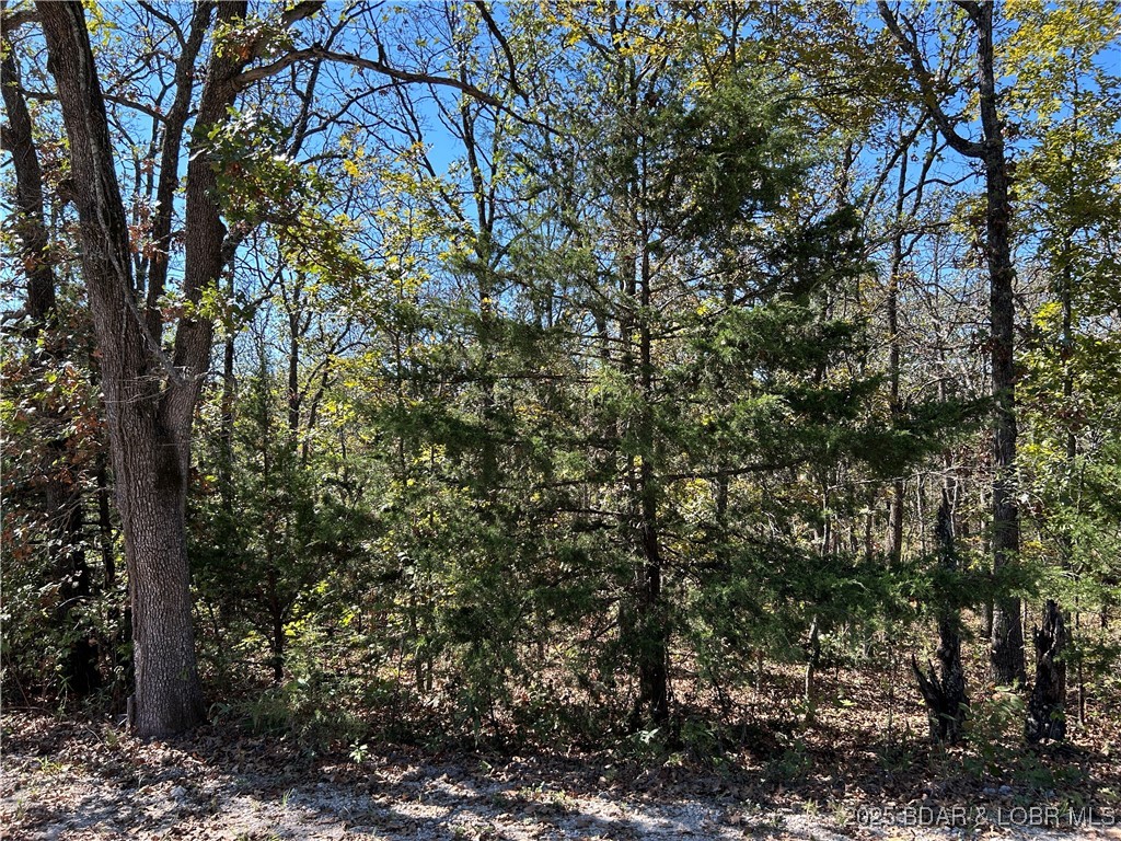 Forbes Lake of the Ozarks - Land