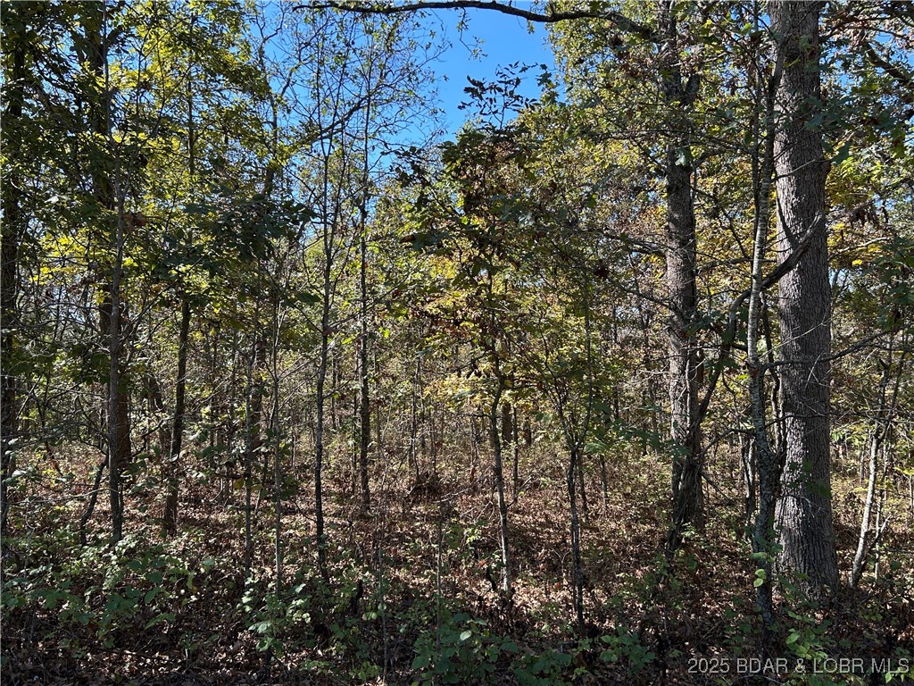 Forbes Lake of the Ozarks - Land