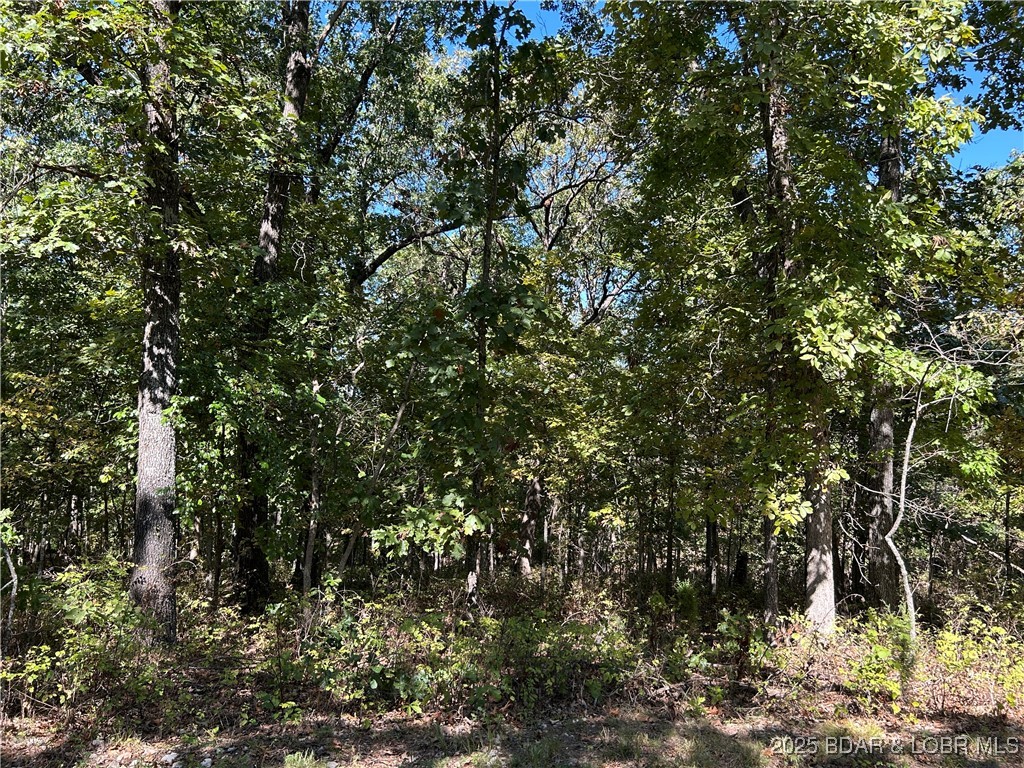 Forbes Lake of the Ozarks - Land