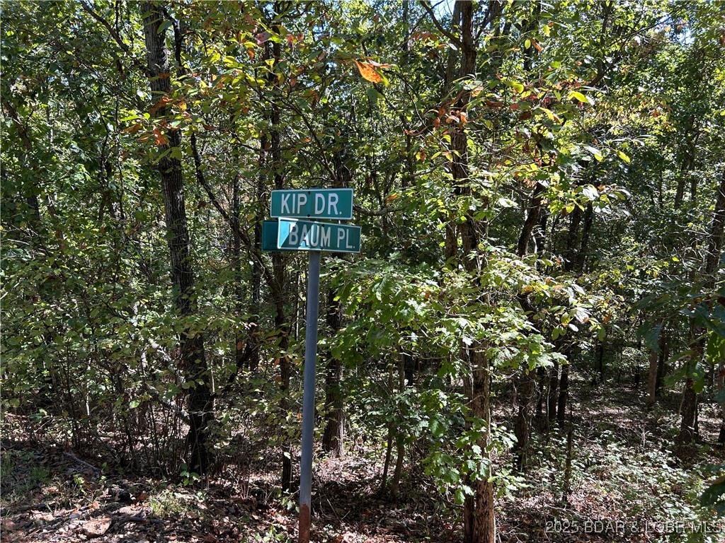 Forbes Lake of the Ozarks - Land