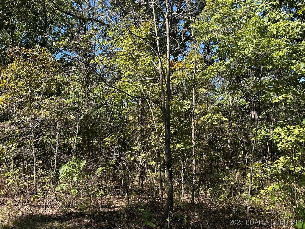 Forbes Lake of the Ozarks - Land