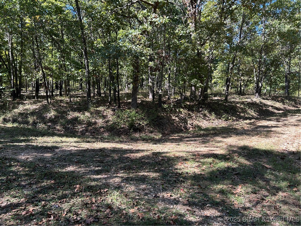 Forbes Lake of the Ozarks - Land