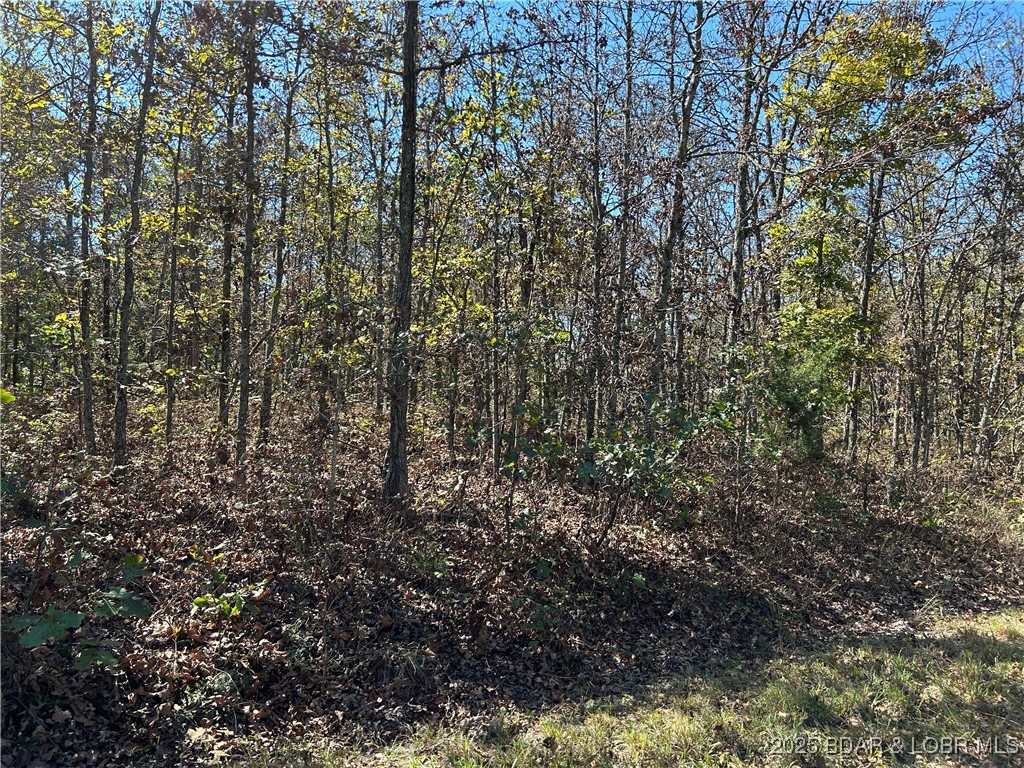 Forbes Lake of the Ozarks - Land