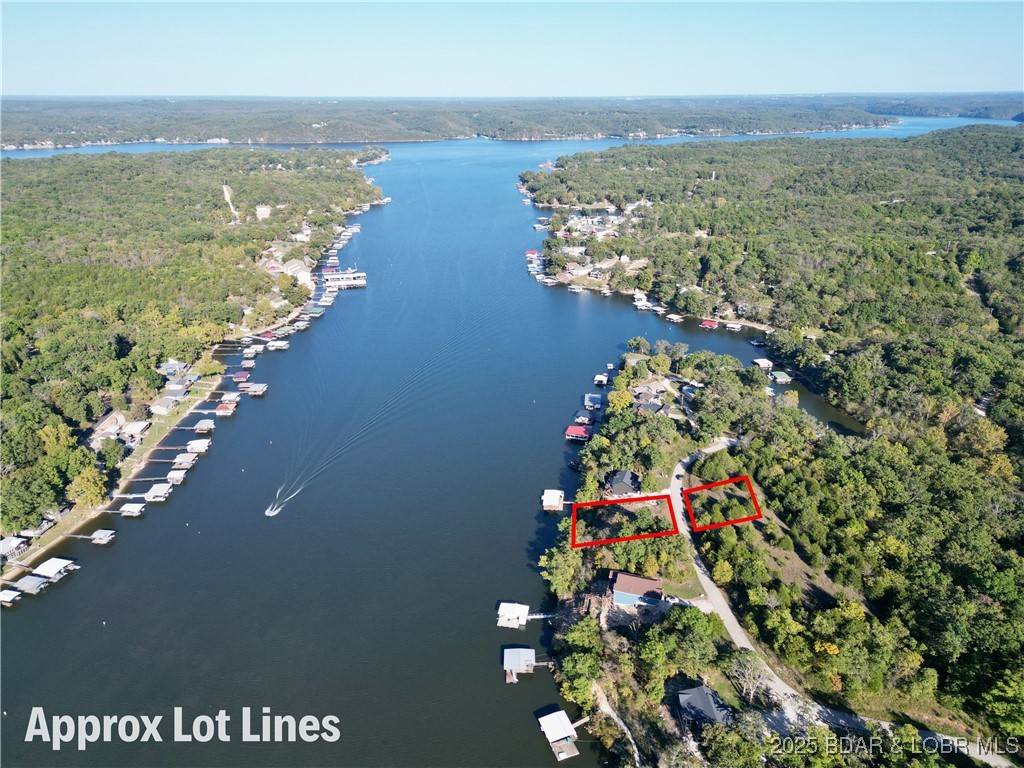 Jumping Bass Cove #2 - Land