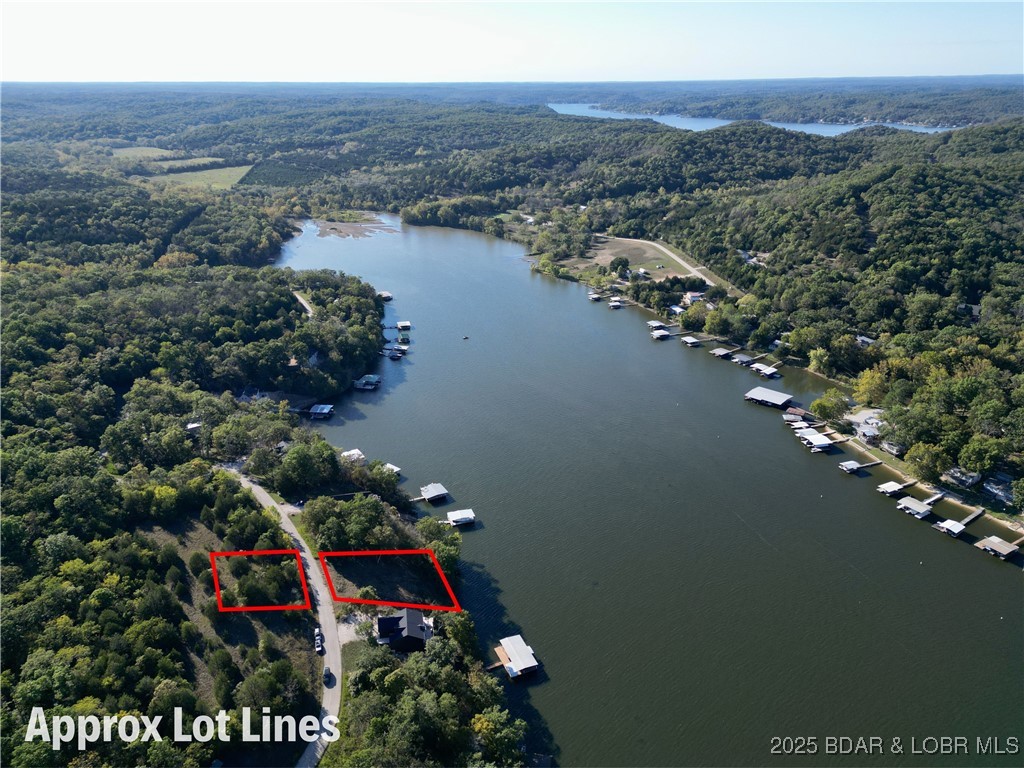 Jumping Bass Cove #2 - Land