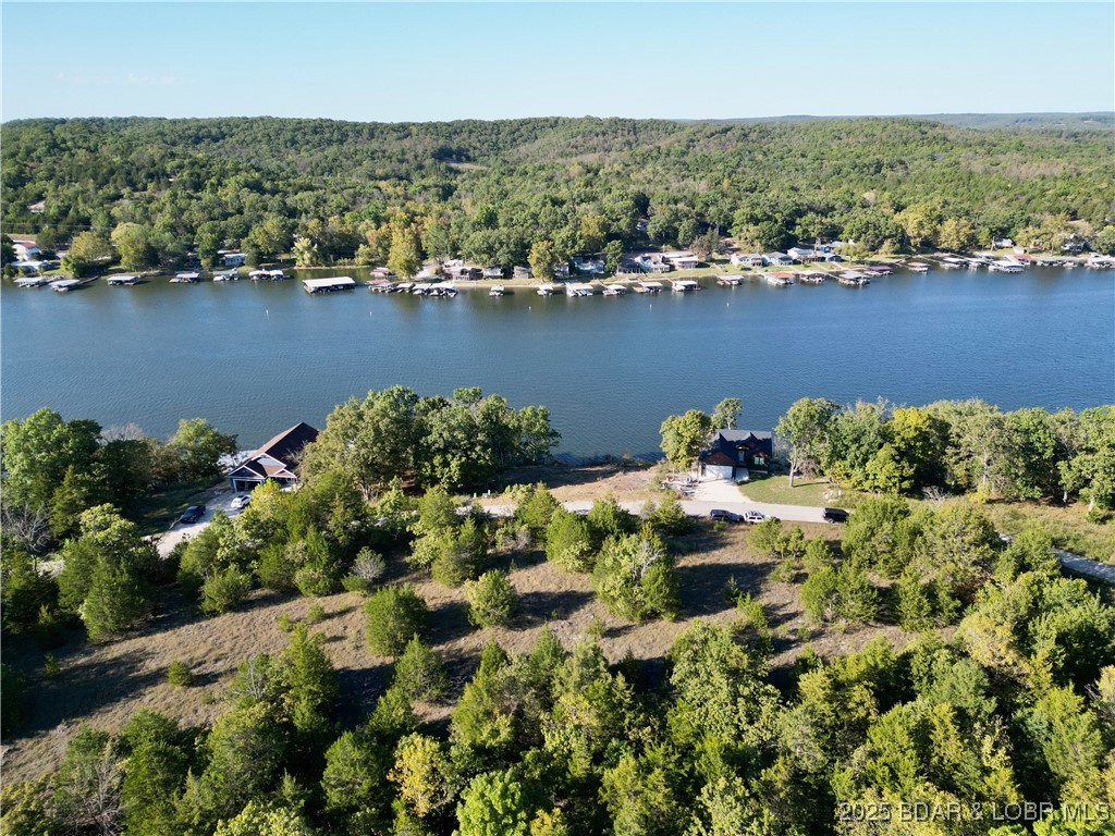 Jumping Bass Cove #2 - Land