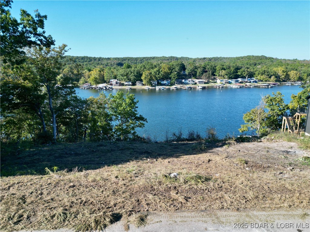 Jumping Bass Cove #2 - Land