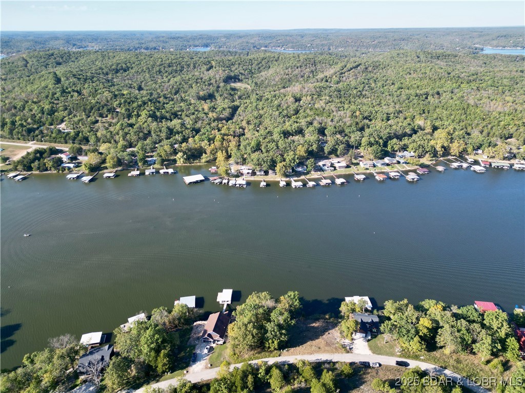 Jumping Bass Cove #2 - Land