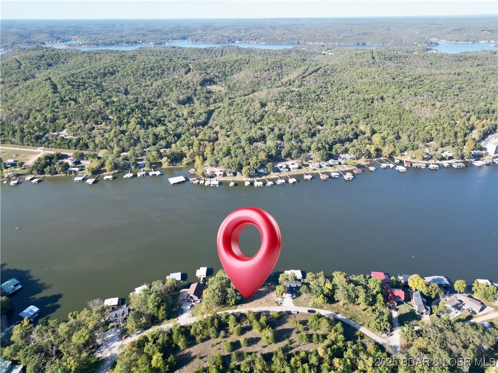 Jumping Bass Cove #2 - Land