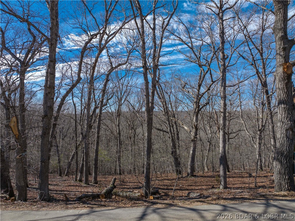 Lake Horizons - Land