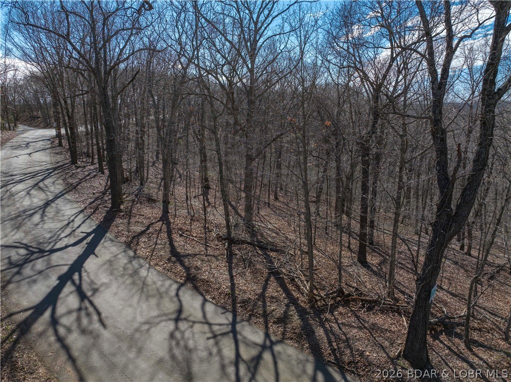 Lake Horizons - Land