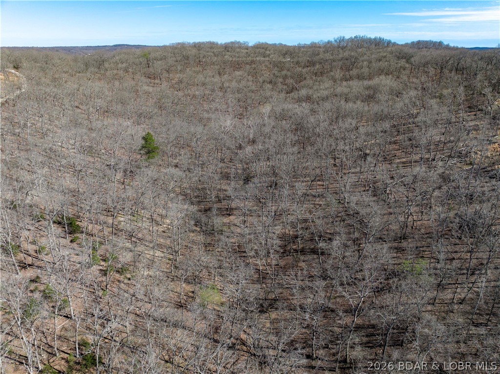 Lake Horizons - Land