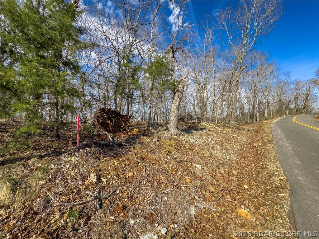 Lake Horizons - Land