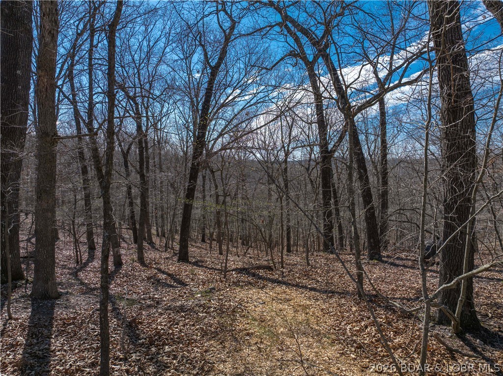 Lake Horizons - Land