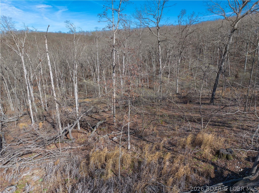 Lake Horizons - Land