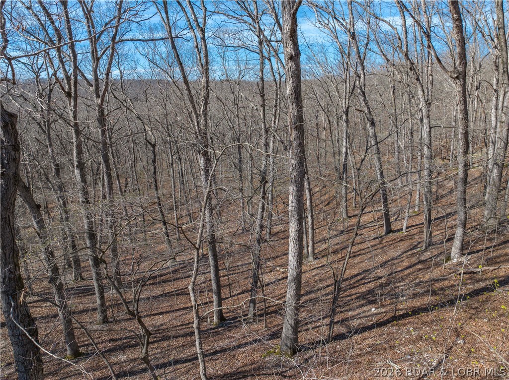Lake Horizons - Land