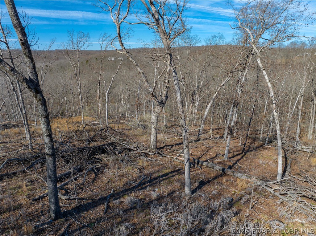 Lake Horizons - Land