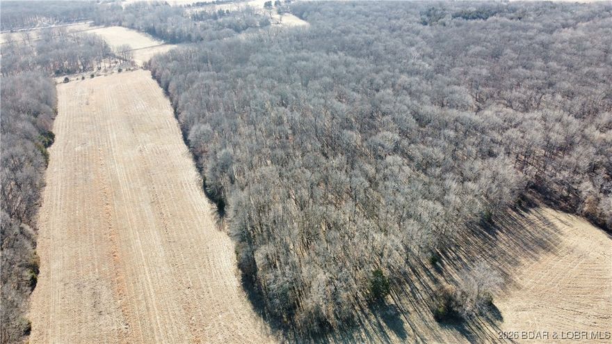 The runway is clear! This property is a one of a kind with 75 +/- acres with a desirable mix of open ground and timber, well suited for recreation, hunting, and outdoor enjoyment. Accessed by a private drive or the runway on the property. The runway is already cut and well maintained. This is a can’t miss!