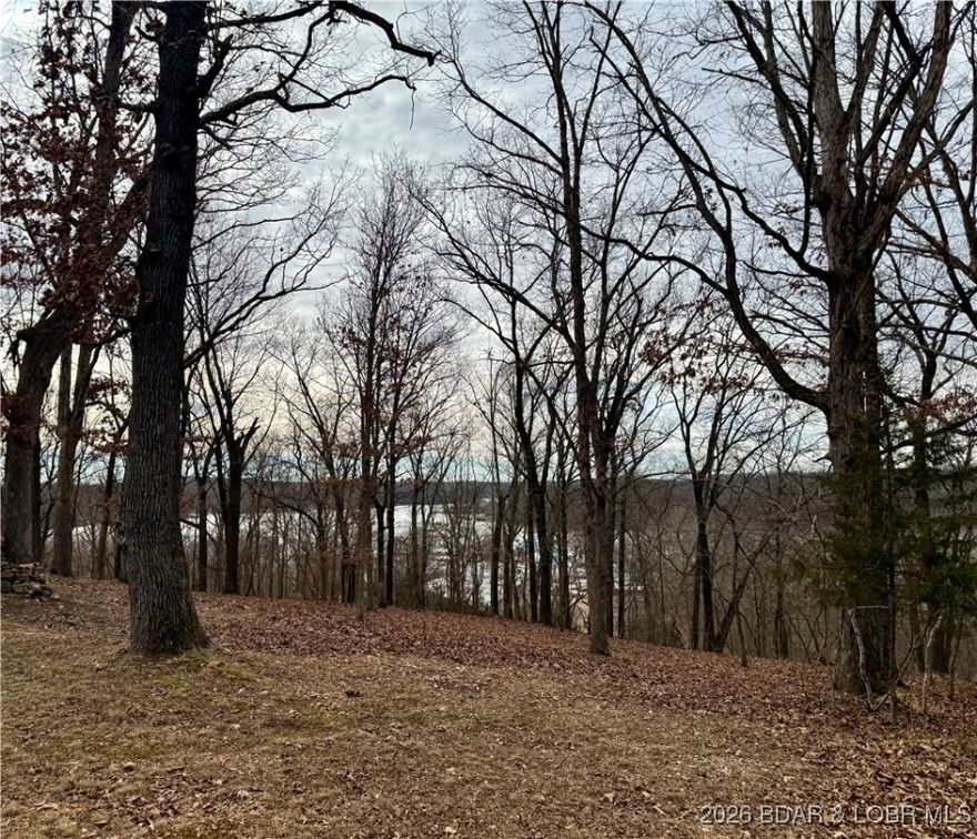 Unrestricted approximate ½-acre lot in Morgan County with a seasonal lake view and the freedom to build or use as you wish! The land offers a gentle lay with a more level area near the top an ideal spot for a future homesite to capture the view.  Bring your plans: cabin, barndo, weekend getaway, or investment either way it's a great opportunity near the lake! Lake access & Marina just down the road with restaurants, gas station and convenience store also close to the property. Come walk the property and picture the possibilities!