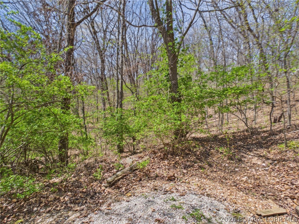 Ivy Bend - Residential