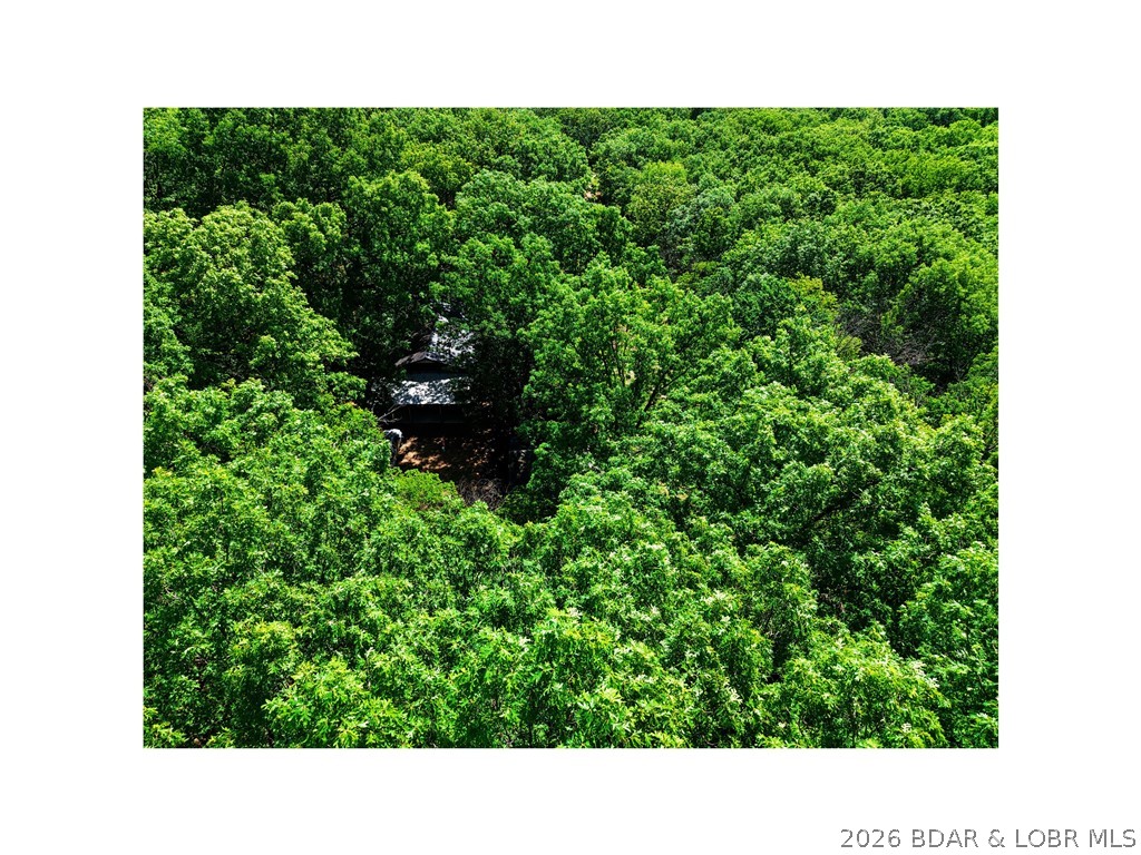 Ivy Bend - Residential