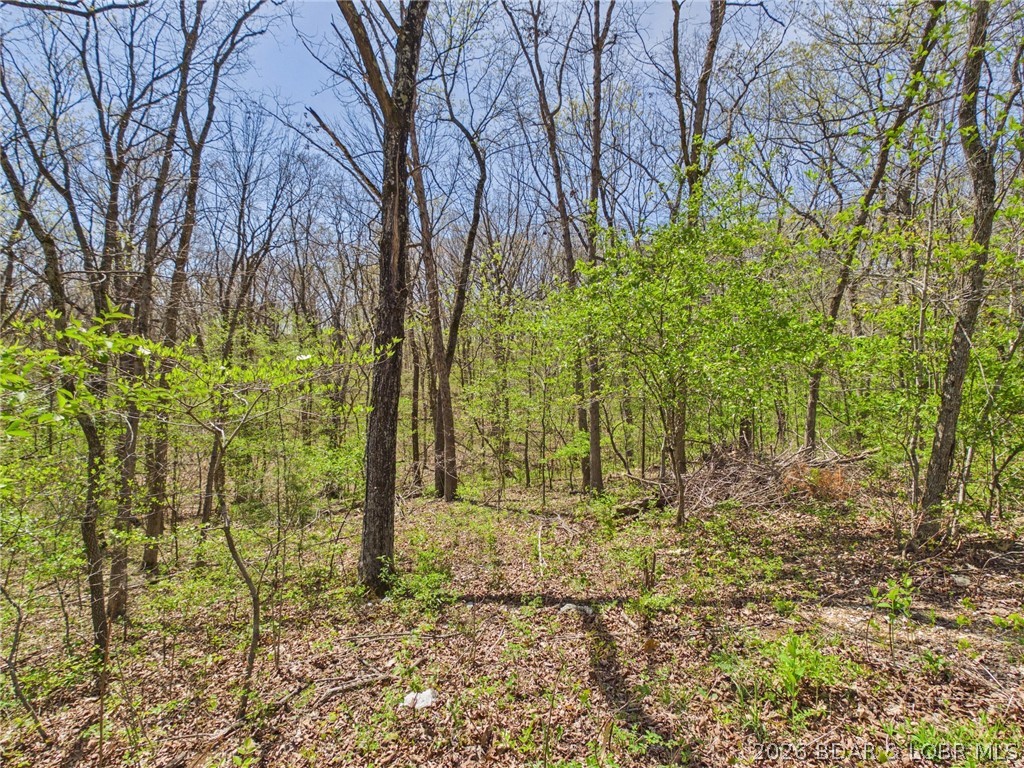 Ivy Bend - Residential