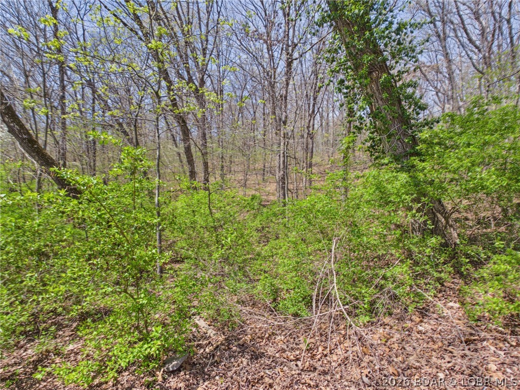 Ivy Bend - Residential