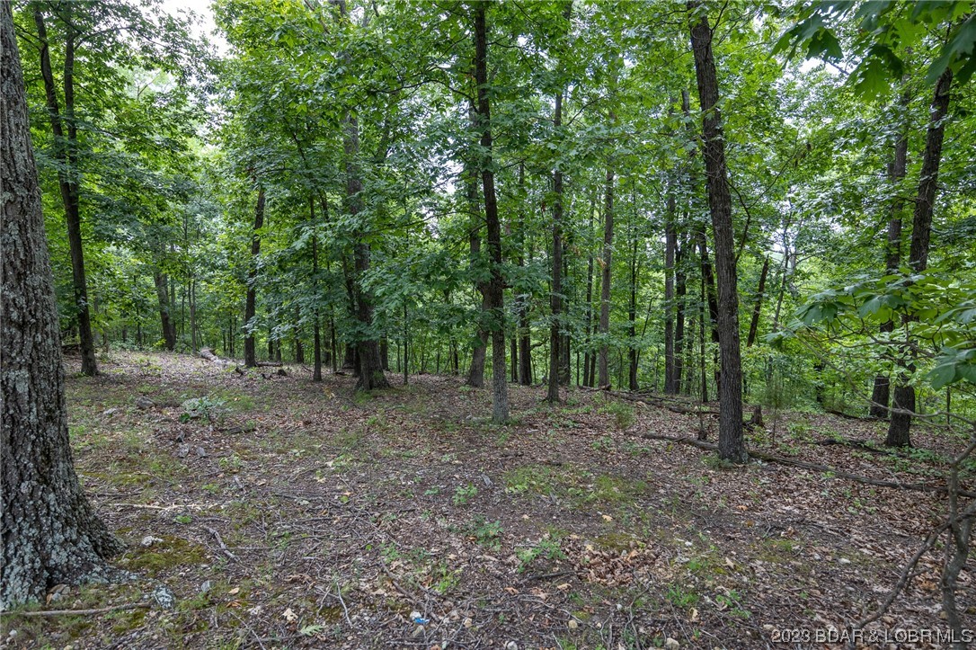 English Garden On Lk - Land