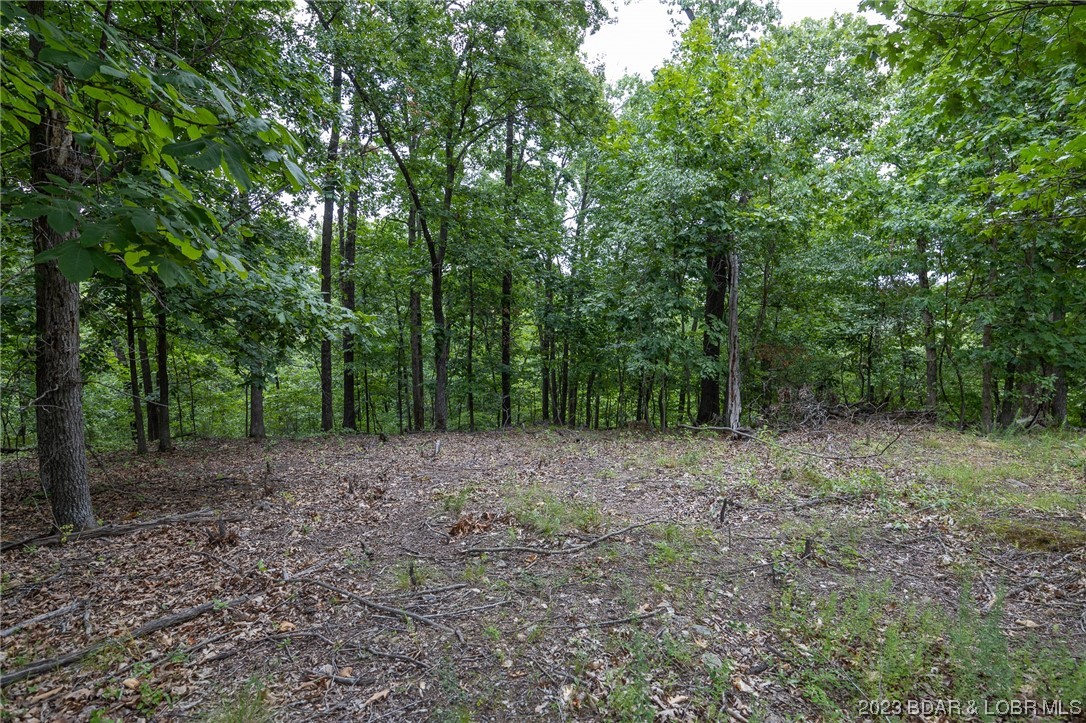 English Garden On Lk - Land