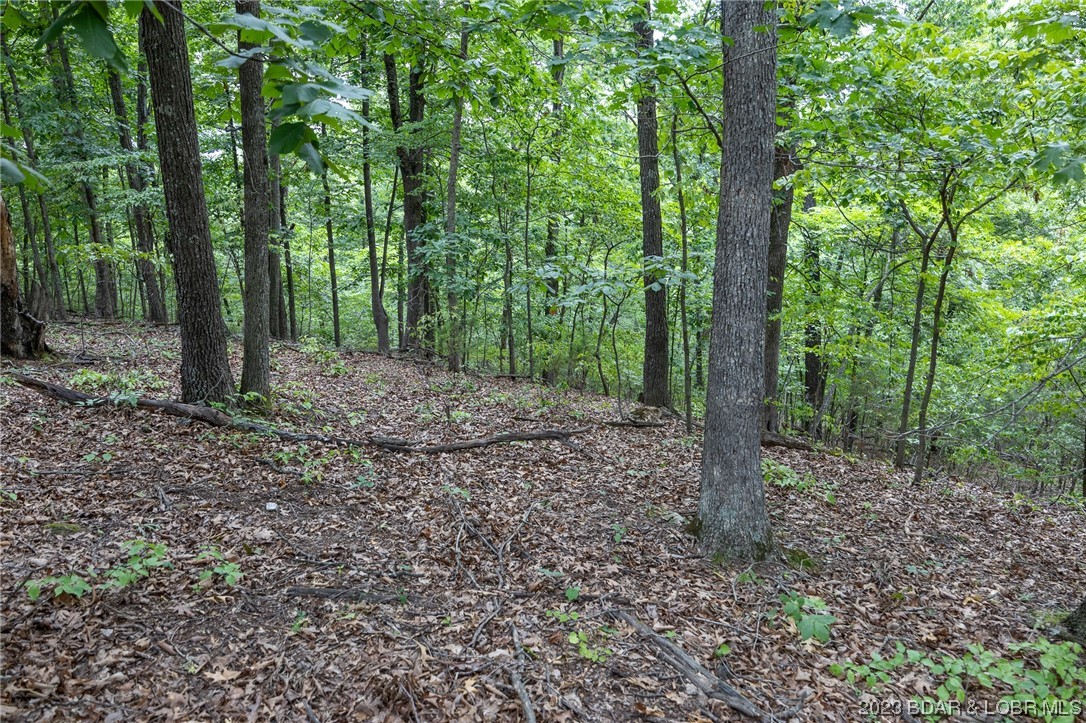 English Garden On Lk - Land