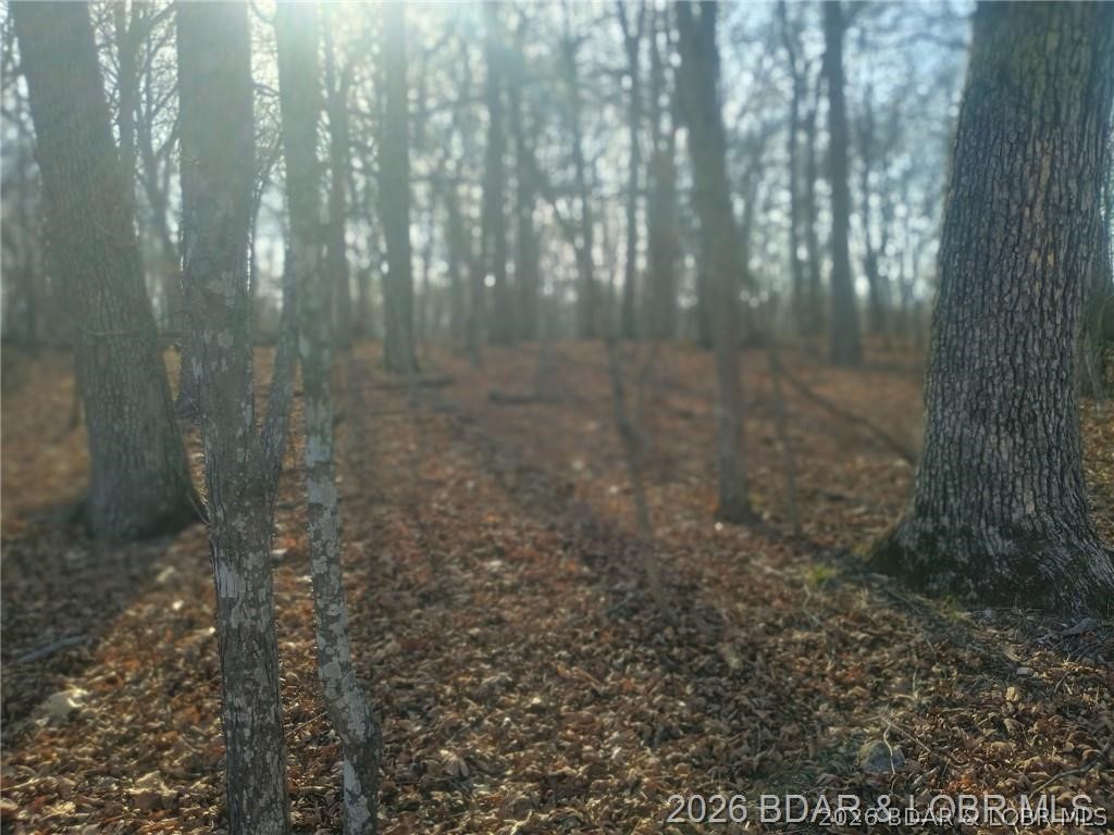 Cornett Cove No. 2 - Land