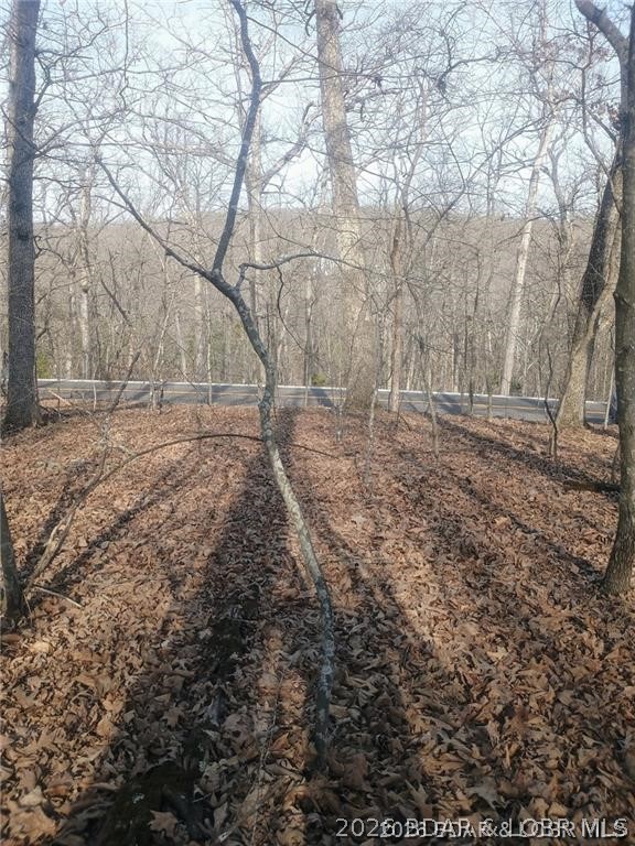 Cornett Cove No. 2 - Land