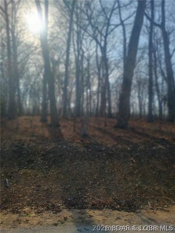 Cornett Cove No. 2 - Land