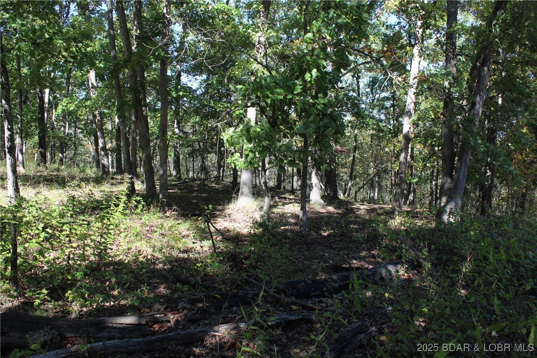 Cornett Cove No. 5 - Land