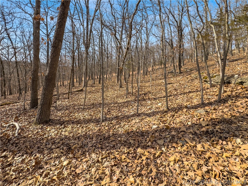 Rose-al Estates - Land